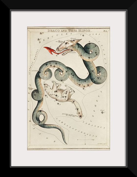 "Astronomical Chart of Draco and the Ursa Minor (1831)", Sidney Hall