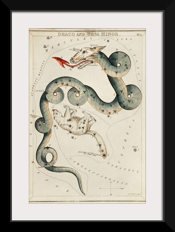 "Astronomical Chart of Draco and the Ursa Minor (1831)", Sidney Hall