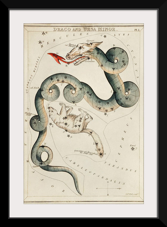 "Astronomical Chart of Draco and the Ursa Minor (1831)", Sidney Hall