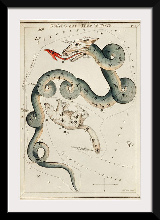 "Astronomical Chart of Draco and the Ursa Minor (1831)", Sidney Hall