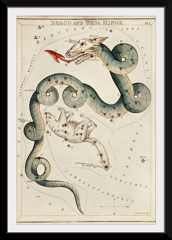 "Astronomical Chart of Draco and the Ursa Minor (1831)", Sidney Hall