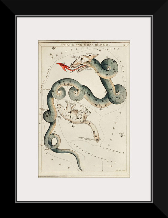 "Astronomical Chart of Draco and the Ursa Minor (1831)", Sidney Hall