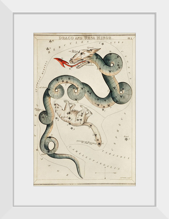 "Astronomical Chart of Draco and the Ursa Minor (1831)", Sidney Hall