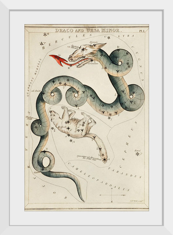 "Astronomical Chart of Draco and the Ursa Minor (1831)", Sidney Hall