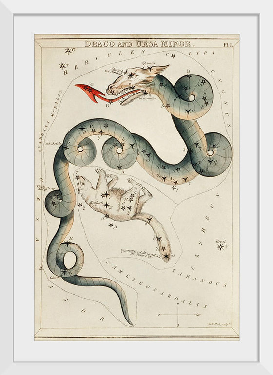 "Astronomical Chart of Draco and the Ursa Minor (1831)", Sidney Hall