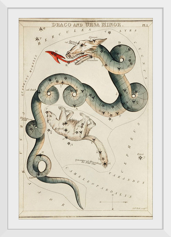 "Astronomical Chart of Draco and the Ursa Minor (1831)", Sidney Hall