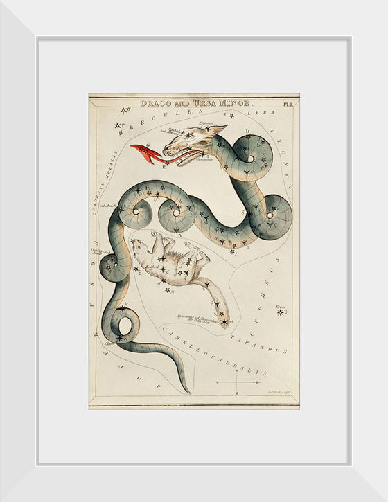 "Astronomical Chart of Draco and the Ursa Minor (1831)", Sidney Hall