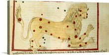  Step into the world of astrology with this striking print. The artwork is of the zodiac sign Leo, featuring a majestic lion depicted in profile. The lion’s body is adorned with red spots, standing out against the pale yellow background. 
