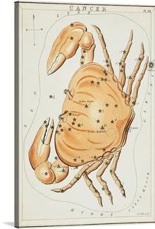  “Astronomical chart for Cancer (1831)” by Sidney Hall is a captivating artwork that captures the majestic constellation of Cancer with exquisite detail and artistry. The intricate drawing features an orange crab representing the Cancer constellation, with stars marked on and around it, each connected by thin lines to outline the constellation. 