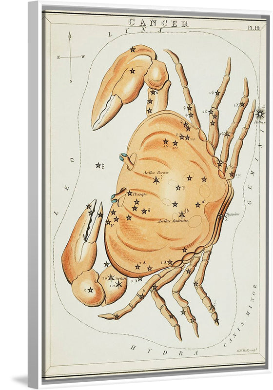 "Astronomical Chart for Cancer (1831)", Sidney Hall