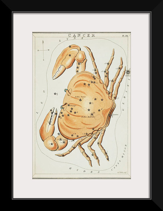 "Astronomical Chart for Cancer (1831)", Sidney Hall