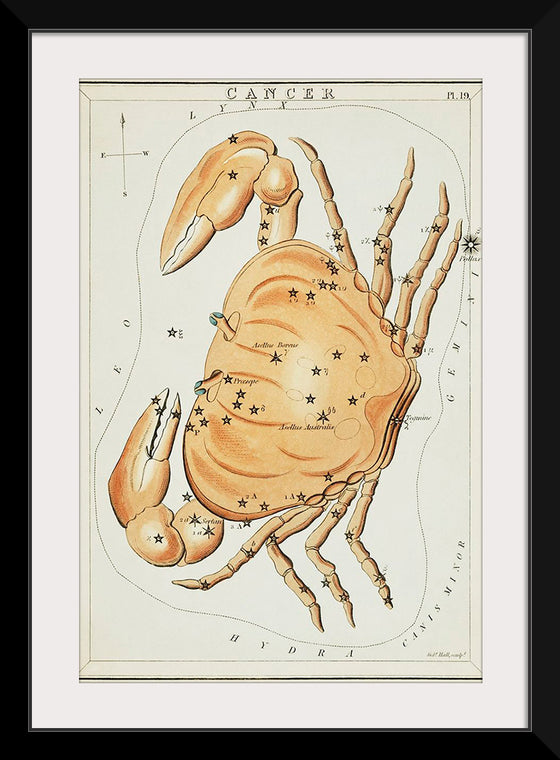 "Astronomical Chart for Cancer (1831)", Sidney Hall