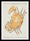 "Astronomical Chart for Cancer (1831)", Sidney Hall