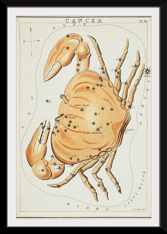 "Astronomical Chart for Cancer (1831)", Sidney Hall