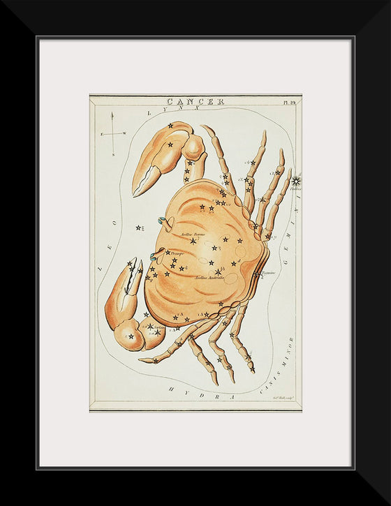 "Astronomical Chart for Cancer (1831)", Sidney Hall