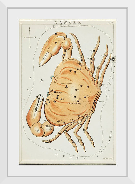 "Astronomical Chart for Cancer (1831)", Sidney Hall