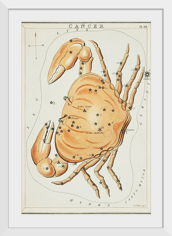 "Astronomical Chart for Cancer (1831)", Sidney Hall