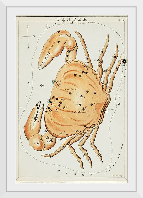 "Astronomical Chart for Cancer (1831)", Sidney Hall