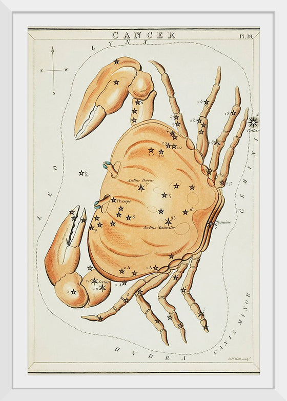 "Astronomical Chart for Cancer (1831)", Sidney Hall