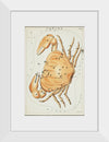 "Astronomical Chart for Cancer (1831)", Sidney Hall