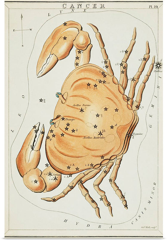 "Astronomical Chart for Cancer (1831)", Sidney Hall