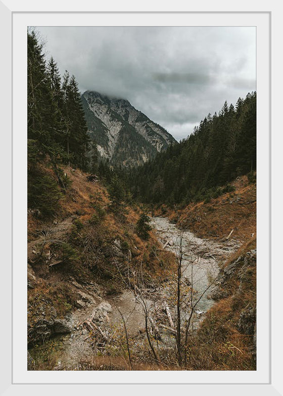 "Path in Majestic Mountains"