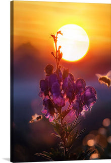  Immerse yourself in the serene beauty of a golden sunset with this limited edition print. The artwork illuminates nature’s grace, featuring a delicate flower basking in the warm embrace of the setting sun. A bee, drawn by the allure of the blossoms, adds a touch of dynamic life to this tranquil scene. 