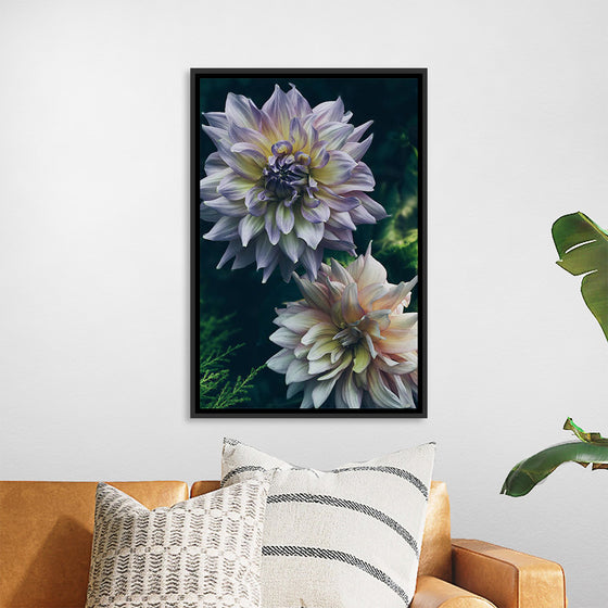 "Dahlia Flowers", Rov Camato