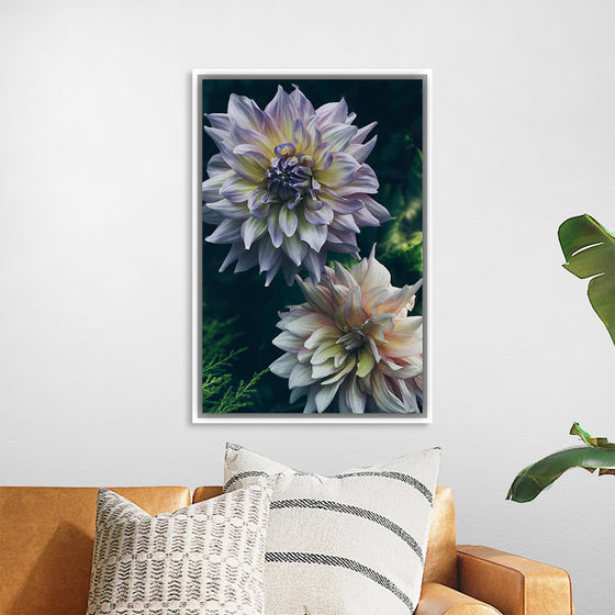 "Dahlia Flowers", Rov Camato