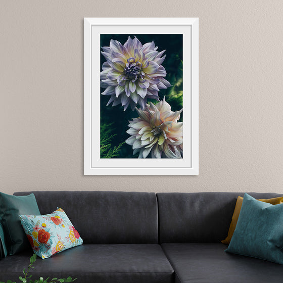 "Dahlia Flowers", Rov Camato