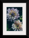 "Dahlia Flowers", Rov Camato