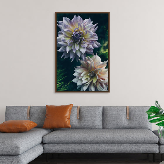 "Dahlia Flowers", Rov Camato