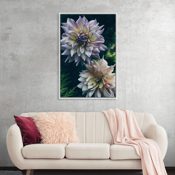 "Dahlia Flowers", Rov Camato