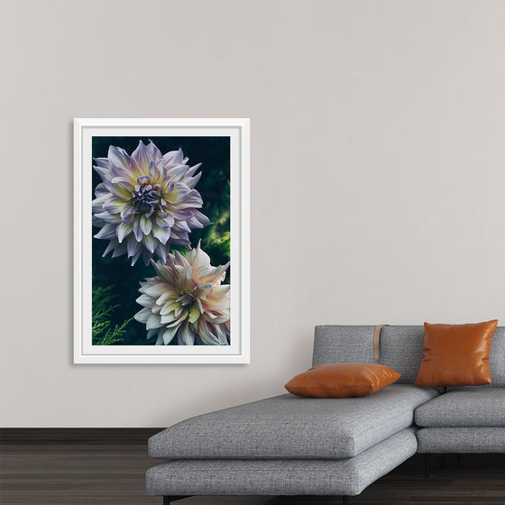 "Dahlia Flowers", Rov Camato