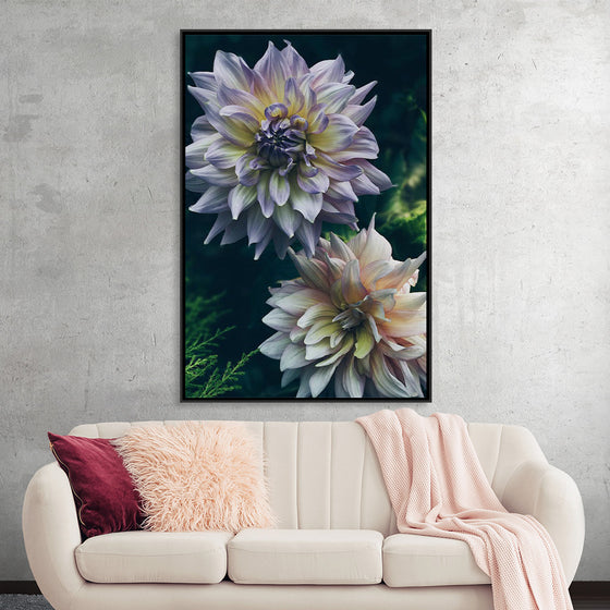 "Dahlia Flowers", Rov Camato