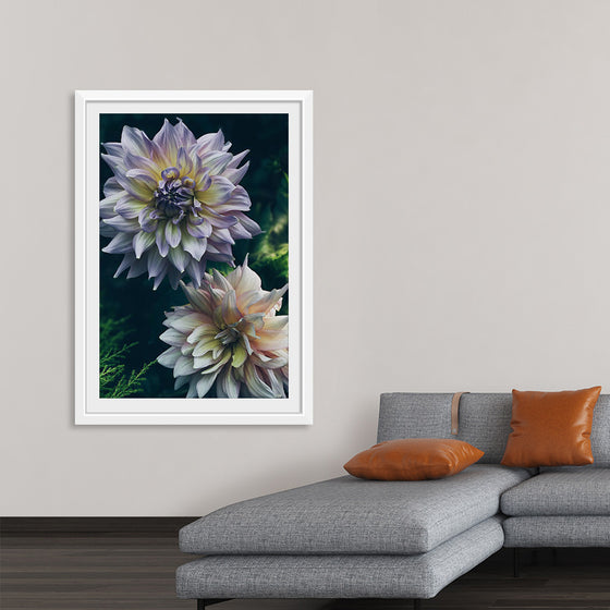 "Dahlia Flowers", Rov Camato