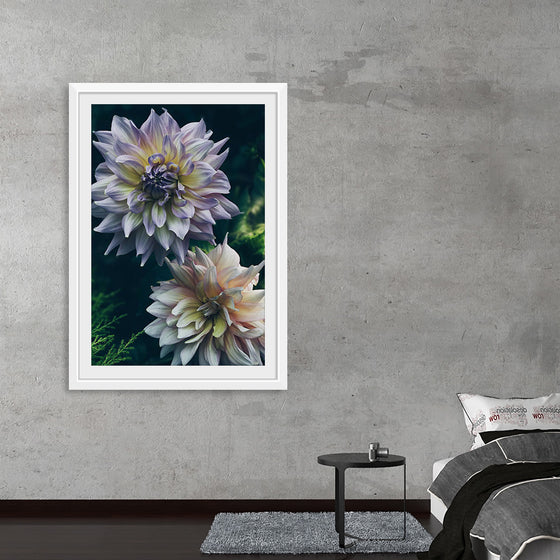 "Dahlia Flowers", Rov Camato