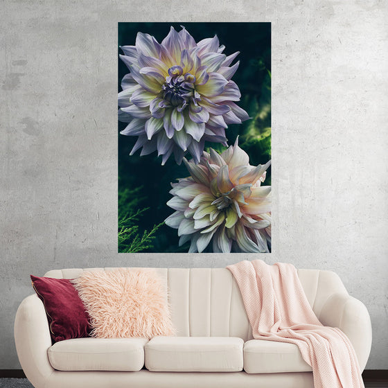 "Dahlia Flowers", Rov Camato