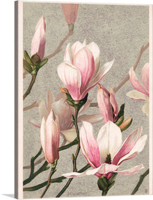  Immerse yourself in the timeless elegance of “Magnolia (1886)” by L. Prang & Co., a masterpiece that captures the ethereal beauty of magnolia blossoms in full bloom. Each petal, rendered with exquisite detail, seems to dance against a textured backdrop, inviting viewers into a world where nature’s quiet moments reign supreme.