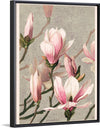 "Magnolia (1886)", Louis Prang & Co.