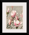 "Magnolia (1886)", Louis Prang & Co.