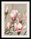 "Magnolia (1886)", L. Prang & Co.