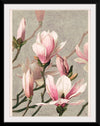 "Magnolia (1886)", L. Prang & Co.