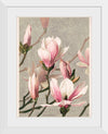 "Magnolia (1886)", Louis Prang & Co.