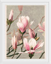 "Magnolia (1886)", L. Prang & Co.