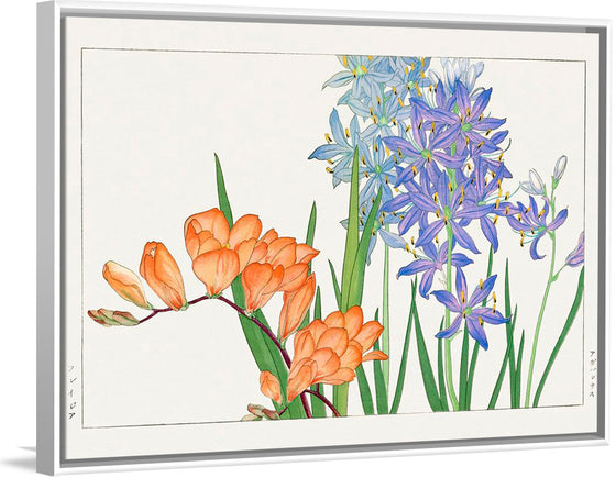 "Freesia flower, Japanese woodblock art", Tanigami Konan