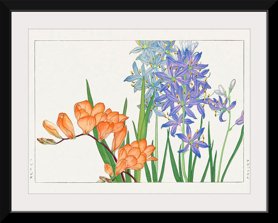 "Freesia flower, Japanese woodblock art", Tanigami Konan