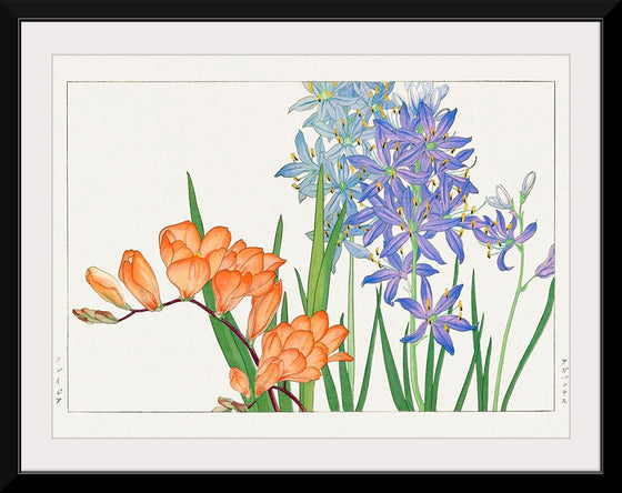 "Freesia flower, Japanese woodblock art", Tanigami Konan