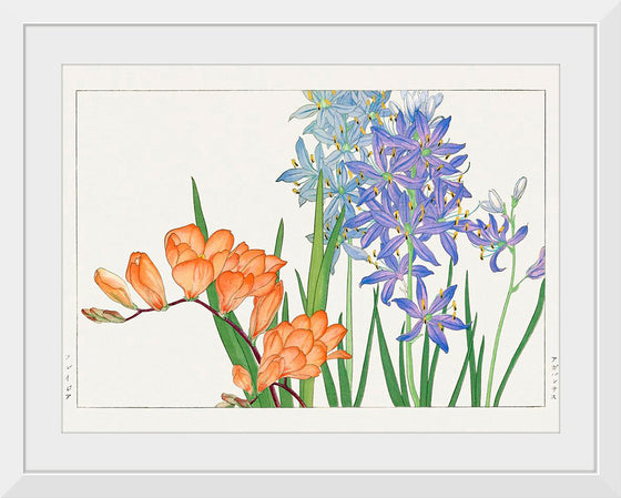 "Freesia flower, Japanese woodblock art", Tanigami Konan