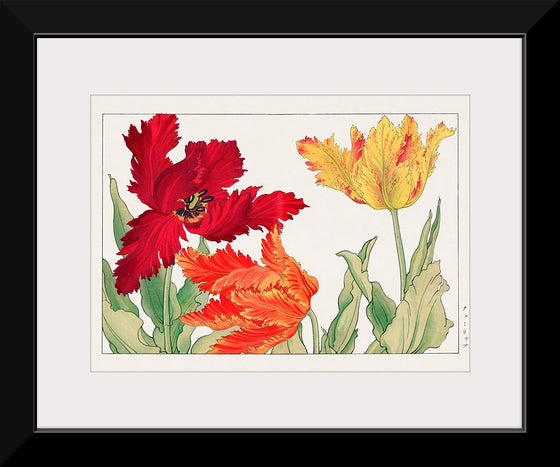 "Parrot tulip", Tanigami Konan